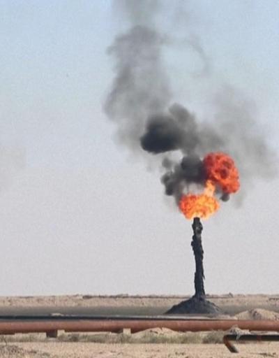 OPEC kararına Arap ülkelerinden destek