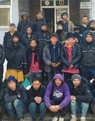 Bitliste, arazide 28 kaçak göçmen yakalandı