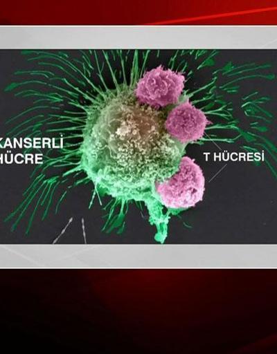 Prof. Dr. Unutmaz geliştirdiği yöntemi anlattı: Kanser hücreleri öldürülebilir mi