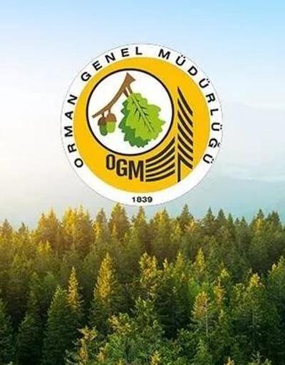 OGM işçi alımı başvuruları ne zaman, şartları neler Orman Genel Müdürlüğü işçi alımı başvuru tarihleri 2022