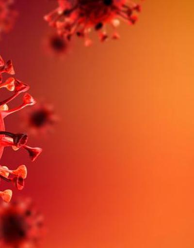 DSÖden korkutan koronavirüs açıklaması: Bir milyondan fazla insan ölebilir