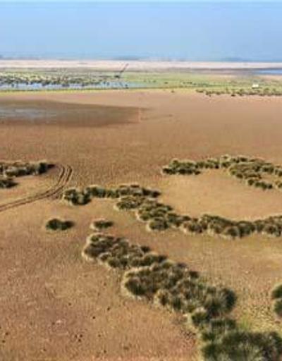 Kızılırmak Deltasında kuraklık tehlikesi: Çölü andıran manzaralar