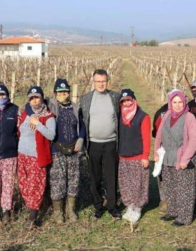 Alaşehir Belediye Başkanı Öküzcüoğlu üzüm bağlarını gezip, işçilere bere hediye etti