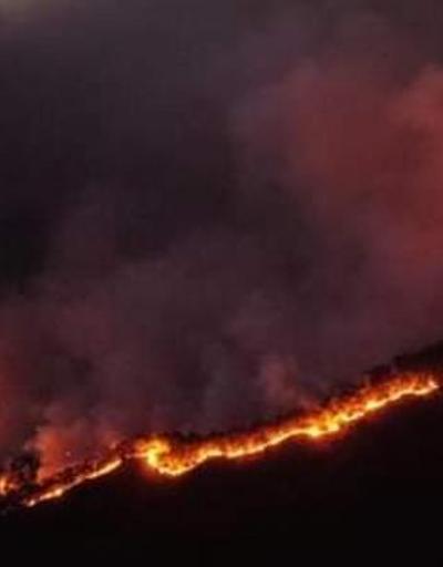 Meksika’da orman yangınları nedeniyle acil durum ilan edildi