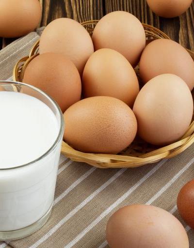 Tavuk yumurtası üretimi ve toplanan inek sütü miktarı, ocakta arttı