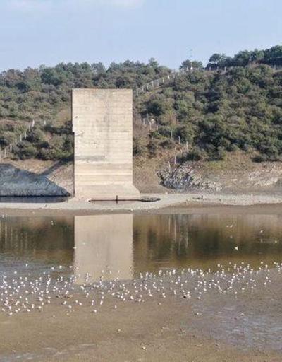 Meteoroloji uyardı İstanbul’daki barajlarda su azalıyor Karadeniz’de bile kulaklık tehlikesi Türkiye son 25 yılın en kurak dönemini yaşıyor