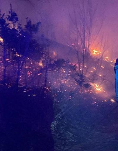 İtalya’da orman yangını: Alevler evlere yaklaştı
