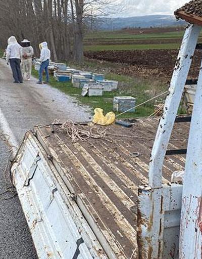 Kovan yüklü kamyonet devrildi; arılar yola saçıldı