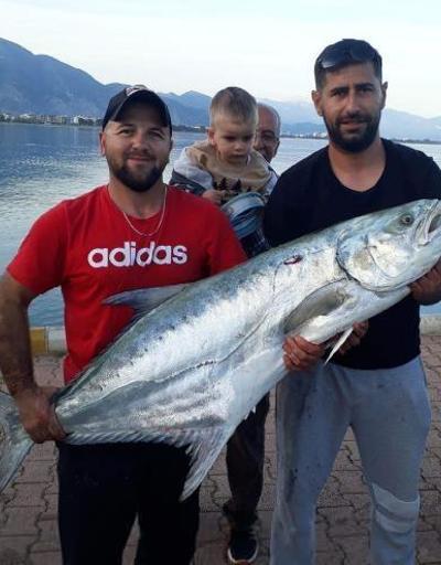 Oltayla 27 kiloluk liça balığı avladı