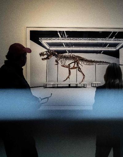 67 milyon yaşındaki T-Rex iskeletine 6,2 milyon dolar