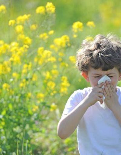 Bahar alerjisi artık daha güçlü Gündelik yaşamda ne gibi önlemler almak gerekiyor Mevsimsel alerji ile ilgili 7 soru 7 yanıt