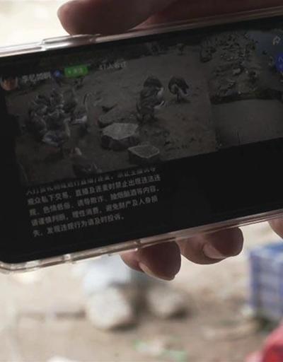 Çinde kuş gribine yapay zeka önlemi