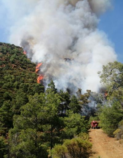 Marmariste orman yangını: Ekipler kontrol altına aldı