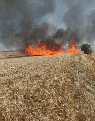 Edirne’de 30 dönüm buğday ekili alan yandı