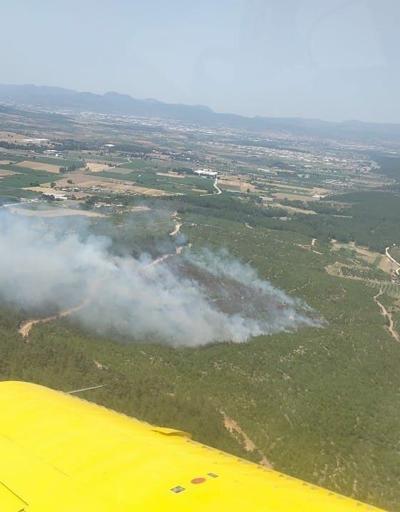 İzmir’de orman yangını: Kontrol altına alındı