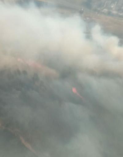 Son dakika haberi: İzmirde orman yangını