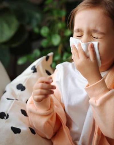 İklimsel değişiklikler alerji şiddetini artırıyor