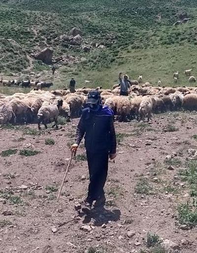 Yerli bulamayınca 20 bin TLye İrandan çoban getirdiler