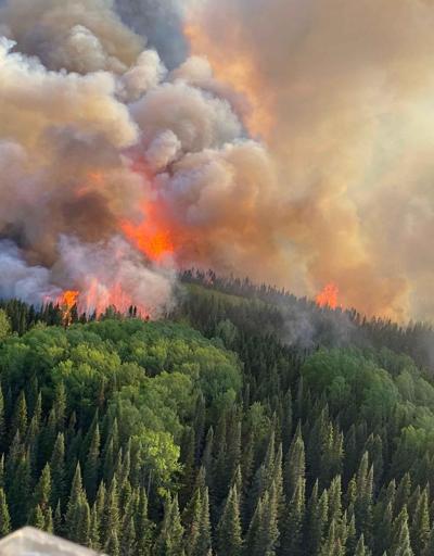 Kanada orman yangınlarına teslim: 8.8 milyon hektarlık alan kül oldu