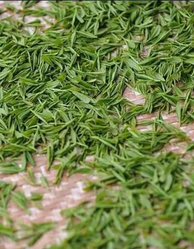 100 yıl yaşayan Asyalıların vazgeçilmezi Resmen metabolizmanın benzini...-