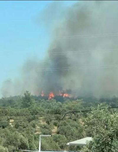 Milasta orman yangını kotrol altına alındı
