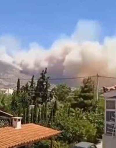 Yunanistan’da orman yangını: Sahildeki yerleşim yerleri tahliye ediliyor