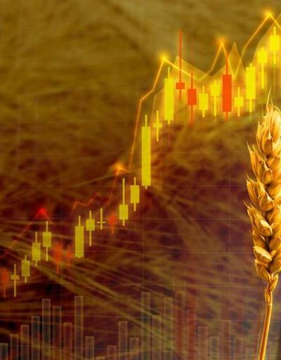 Rusyanın tahıl anlaşması açıklamasının ardından buğday emtia fiyatları yükseldi