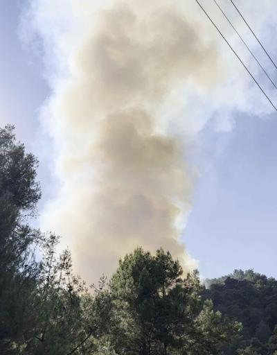 Antalyada orman yangını: Kontrol altına alındı