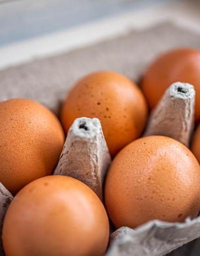 Yumurtadan kötü kokular geliyor: Yasaklı madde çıktı ortalık karıştı
