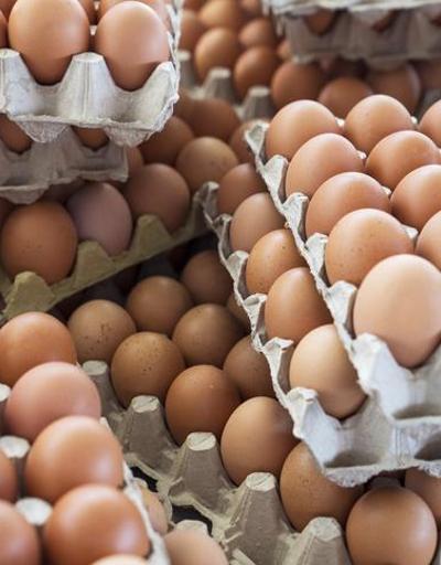 Yumurtada nitrofuran tehlikesi: İnsanlarda kanserojen etki yaratıyor