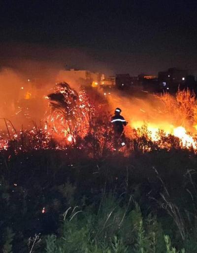 Cezayir’de orman yangını: 15 ölü