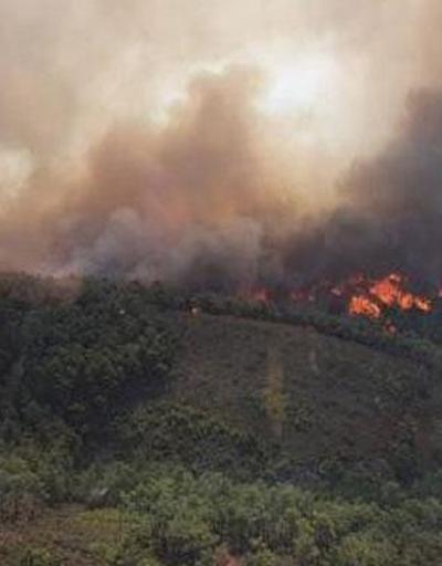Tarım ve Orman Bakanlığı: Yunanistandaki yangında138 sorti, 414 ton su atımı yapıldı