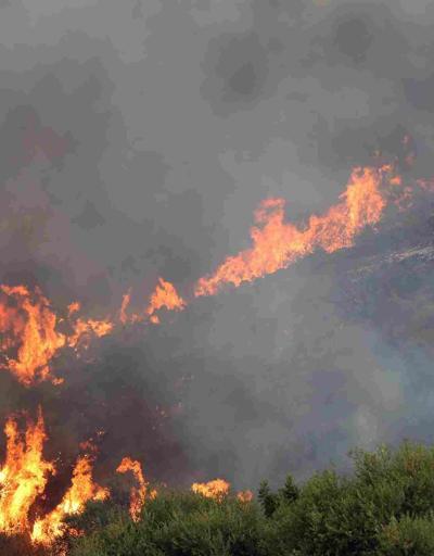 Cezayir’deki orman yangınlarında can kaybı 34’e yükseldi