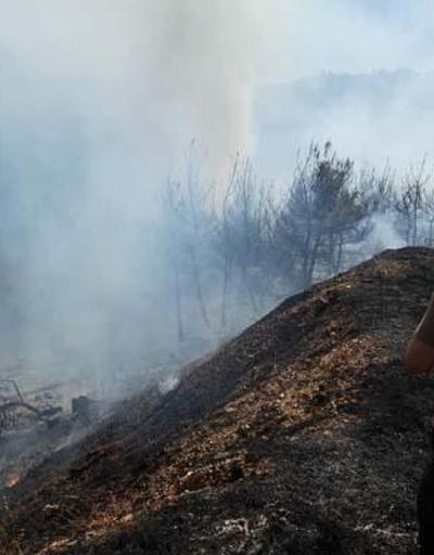 İzmir, Kemalpaşada orman yangın