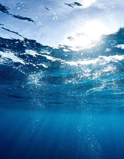 Gezegende yeni rekor: Florida okyanusu, jakuzi sıcaklığına ulaştı