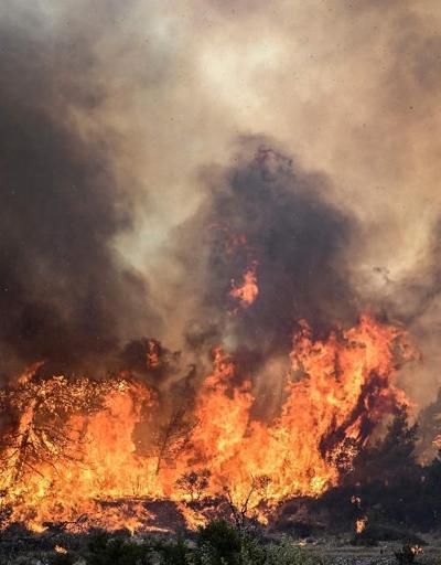 Yunanistan’da orman yangınlarının bilançosu: 3 kişi öldü, 74 itfaiyeci yaralandı