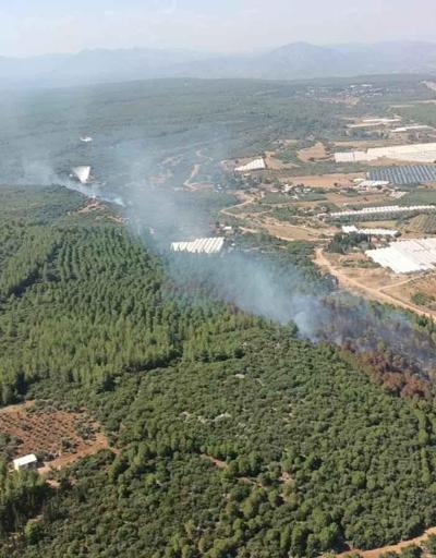Antalyanın 2 ilçesinde orman yangını: Kontrol altına alındı