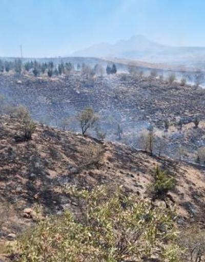 Aksarayda ot yangını ormana sıçradı, 5 bin fidan yandı