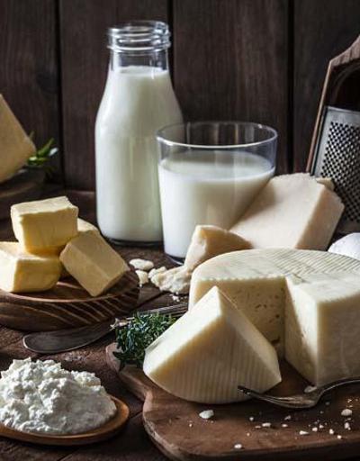 Peynir ve sütte brusella tehlikesi Peki nasıl korunacağız