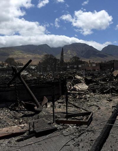 Hawaii felaketi yaşıyor: Yangınlarda can kaybı 93e yükseldi