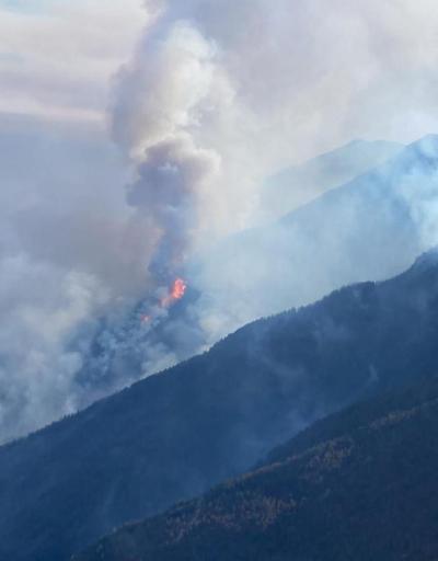 Kanadada orman yangını kâbusu