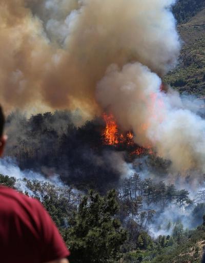 Yunanistanda orman yangını felaketi Kontrol altına alındı