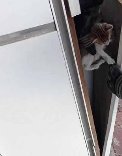 İki duvar arasına sıkışan yavru kedileri itfaiye kurtardı