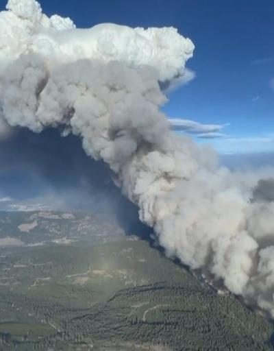 Kanada orman yangınları: Mart ayından bu yana 148 bin kilometrekare alan yandı