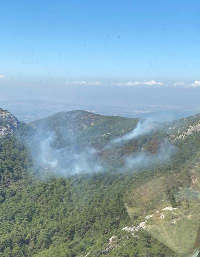 İzmirde orman yangını