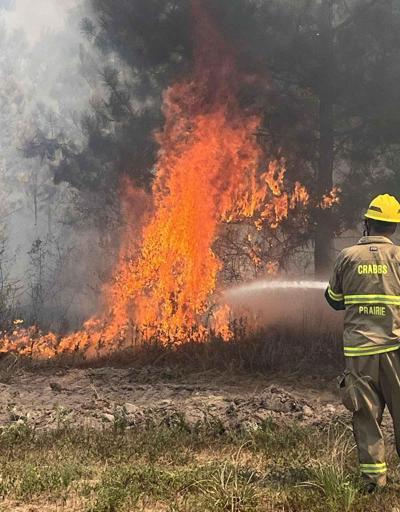 Texas’taki orman yangınında 4 bin dönüm alan yandı