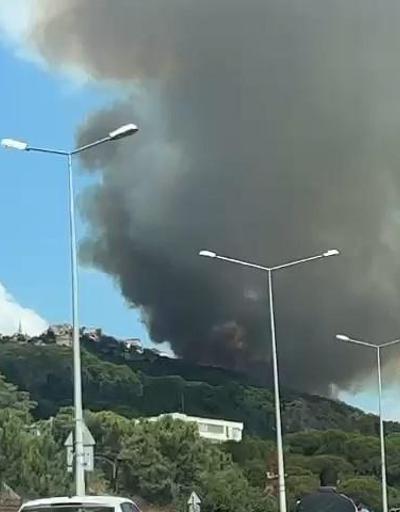 SON DAKİKA: Maltepede orman yangını