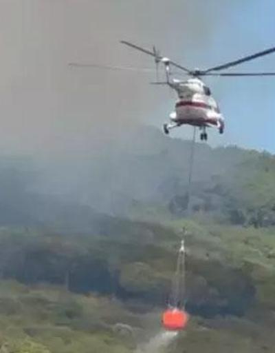 Maltepedeki orman yangını ile ilgili 2 şüpheli gözaltına alındı