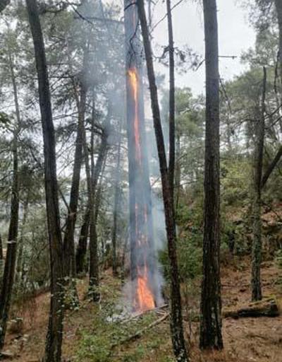 Muğlada 1 günde düşen yıldırımlar nedeniyle 36 yangın çıktı