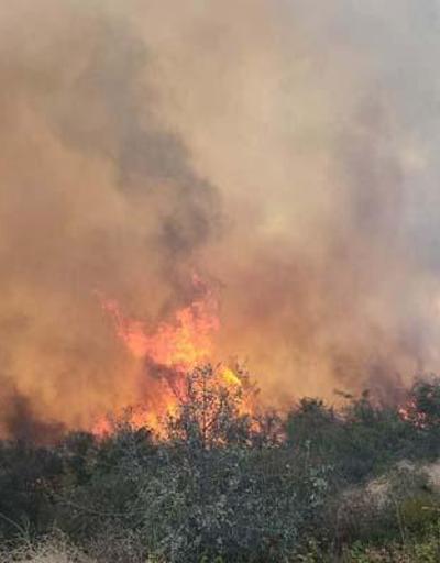 Çanakkaledeki yangın, 16 saatte kontrol altına alındı